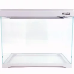 Modern Tank 40 Nano Aquarium Innenfilter LED Beleuchtung -Haus Dekoration Verkaufsgeschäft AT 350 A Nano Aquarium Touch Display Filteranlage Beleuchtung DSC00661 21513