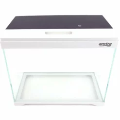 Modern Tank 40 Nano Aquarium Innenfilter LED Beleuchtung -Haus Dekoration Verkaufsgeschäft AT 350 A Nano Aquarium Touch Display Filteranlage Beleuchtung DSC00662 21513