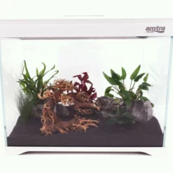 Modern Tank 40 Nano Aquarium Innenfilter LED Beleuchtung -Haus Dekoration Verkaufsgeschäft AT 350 A Nano Aquarium Touch Display Filteranlage Beleuchtung DSC01111 2 21513