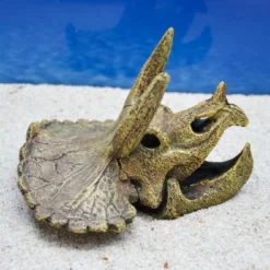 Amtra Triceratops Schädel Aquarium-Deko -Haus Dekoration Verkaufsgeschäft Amtra Drachen Schaedel Aquarium Deko DSC 0157 1682