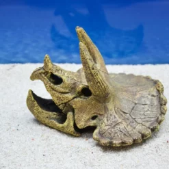 Amtra Triceratops Schädel Aquarium-Deko -Haus Dekoration Verkaufsgeschäft Amtra Drachen Schaedel Aquarium Deko DSC 0158 1682