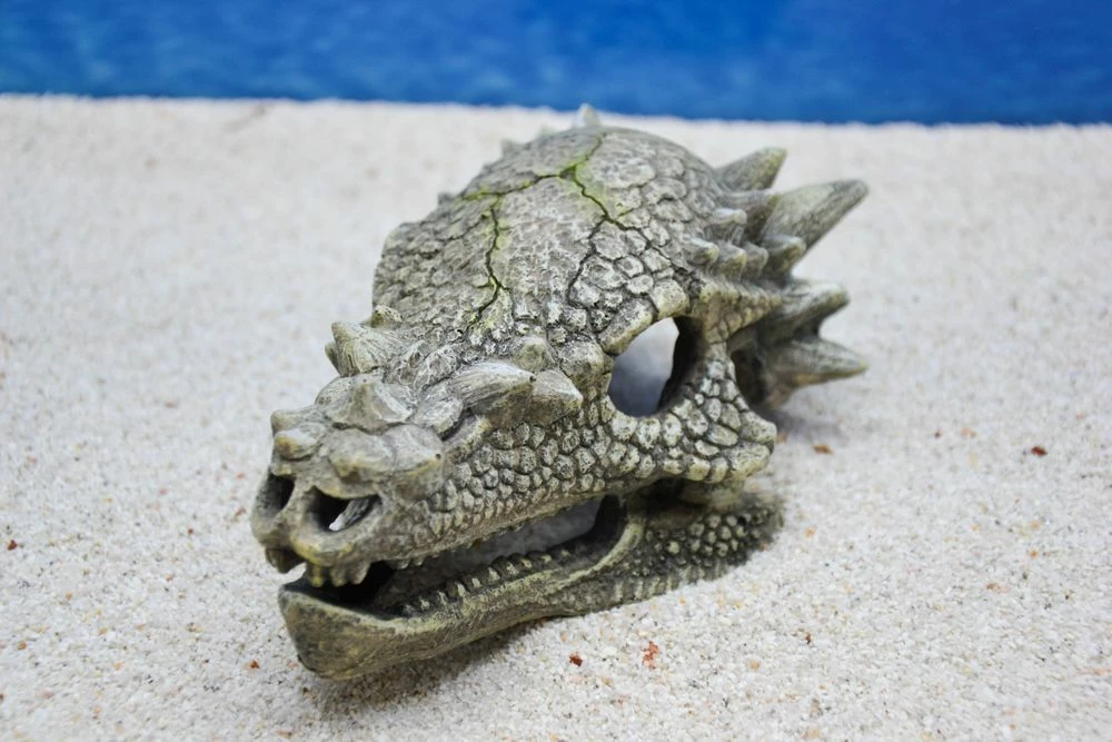 Amtra Drachen Schädel Aquarium-Deko 3 Amtra Drachen Schädel Aquarium-Deko – Bild 3