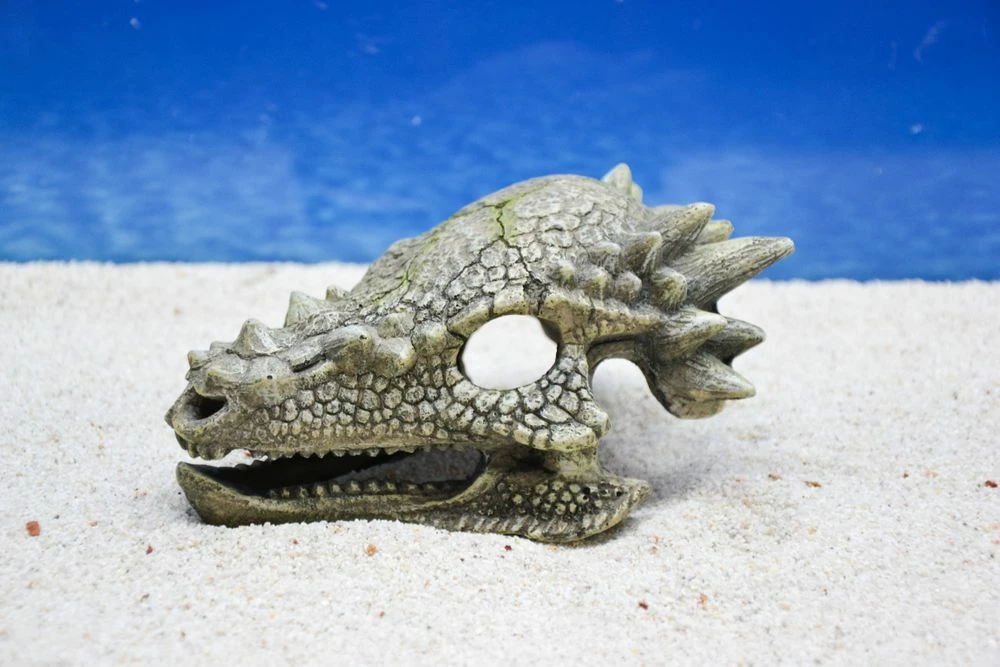 Amtra Drachen Schädel Aquarium-Deko 2 Amtra Drachen Schädel Aquarium-Deko – Bild 2