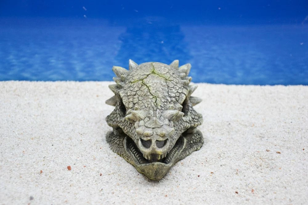 Amtra Drachen Schädel Aquarium-Deko 4 Amtra Drachen Schädel Aquarium-Deko – Bild 4