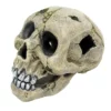 Amtra Totenkopf Mit Loch Aquarium-Deko