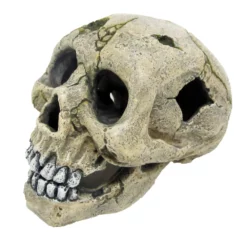 Amtra Totenkopf Mit Loch Aquarium-Deko