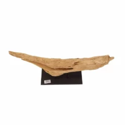 AquaOne Holz Deko Skulptur Oslo Nr.4866 7 AquaOne Holz Deko Skulptur Oslo Nr.4866 -Haus Dekoration Verkaufsgeschäft AquaOne Holz Deko Skulptur Oslo Nr 4866 4866 3 28144