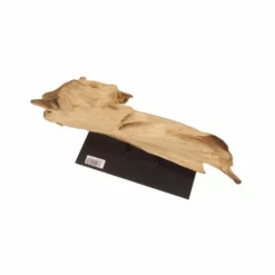 AquaOne Holz Deko Skulptur Oslo Nr.4880 6 AquaOne Holz Deko Skulptur Oslo Nr.4880 -Haus Dekoration Verkaufsgeschäft AquaOne Holz Deko Skulptur Oslo Nr 4879 4880 3 28158