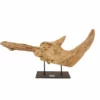 AquaOne Holz Deko Skulptur Rom Nr.4972
