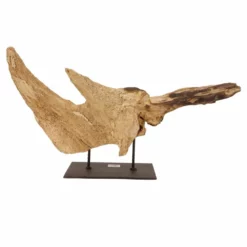 AquaOne Holz Deko Skulptur Rom Nr.4972 -Haus Dekoration Verkaufsgeschäft AquaOne Holz Deko Skulptur Rom Nr 4971 4972 2 28252