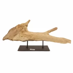AquaOne Holz Deko Skulptur Rom Nr.4973