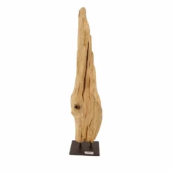 AquaOne Holz Deko Skulptur Rom Nr.4985 -Haus Dekoration Verkaufsgeschäft AquaOne Holz Deko Skulptur Rom Nr 4984 4985 3 28265