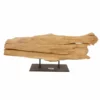 AquaOne Holz Deko Skulptur Rom Nr.5005