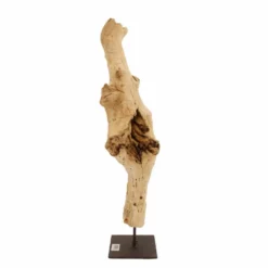 AquaOne Holz Deko Skulptur Rom Nr.5017