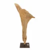 AquaOne Holz Deko Skulptur Rom Nr.5031