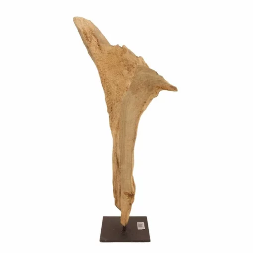 AquaOne Holz Deko Skulptur Rom Nr.5031 -Haus Dekoration Verkaufsgeschäft AquaOne Holz Deko Skulptur Rom Nr 5030 5031 1 28312