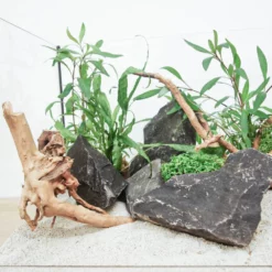 Aquarium Deko Komplettset Steine Wurzel Aquascaping Hardscape Set Nr.14 -Haus Dekoration Verkaufsgeschäft Aquarium Deko Komplettset Steine Wurzel Aquascaping Hardscape Set Nr 13 DSC09866 29156