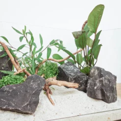 Aquarium Deko Komplettset Steine Wurzel Aquascaping Hardscape Set Nr.14 -Haus Dekoration Verkaufsgeschäft Aquarium Deko Komplettset Steine Wurzel Aquascaping Hardscape Set Nr 13 DSC09868 29156
