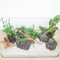 Aquarium Deko Komplettset Steine Wurzel Aquascaping Hardscape Set Nr.14 -Haus Dekoration Verkaufsgeschäft Aquarium Deko Komplettset Steine Wurzel Aquascaping Hardscape Set Nr 13 DSC09870 2 29156