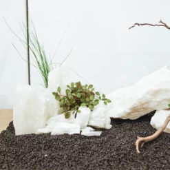 Aquarium Deko Komplettset Steine Wurzel Aquascaping Hardscape Set Nr.50 -Haus Dekoration Verkaufsgeschäft Aquarium Deko Komplettset Steine Wurzel Aquascaping Hardscape Set Nr 29 DSC00850 29169