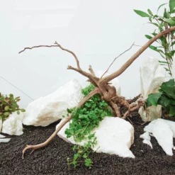 Aquarium Deko Komplettset Steine Wurzel Aquascaping Hardscape Set Nr.50 -Haus Dekoration Verkaufsgeschäft Aquarium Deko Komplettset Steine Wurzel Aquascaping Hardscape Set Nr 29 DSC00852 29169
