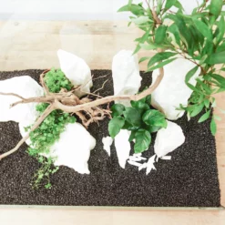 Aquarium Deko Komplettset Steine Wurzel Aquascaping Hardscape Set Nr.50 -Haus Dekoration Verkaufsgeschäft Aquarium Deko Komplettset Steine Wurzel Aquascaping Hardscape Set Nr 29 DSC00856 29169