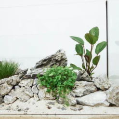 Aquarium Deko Komplettset Steine Wurzel Aquascaping Hardscape Set Nr.31 -Haus Dekoration Verkaufsgeschäft Aquarium Deko Komplettset Steine Wurzel Aquascaping Hardscape Set Nr 50 DSC00536 29171