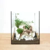 Aquarium Deko Komplettset Steine Wurzel Pflanzen Aquascaping Set Nr.4