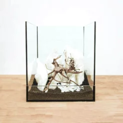 Aquarium Deko Komplettset Steine Wurzel Pflanzen Aquascaping Set Nr.4 -Haus Dekoration Verkaufsgeschäft Aquarium Deko Komplettset Steine Wurzel Pflanzen Aquascaping Set Nr 7 DSC00220 2 29148