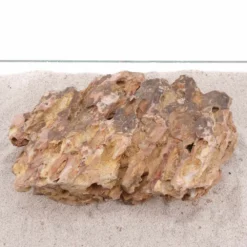 Aquarium Drachenstein Dekosteine Art.66 Größe XXXL 40-50 Cm Nr.1573 -Haus Dekoration Verkaufsgeschäft Aquarium Drachenstein Dekosteine Art 66 Groesse XXXL 40 50 cm Nr 1572 1573 5 24126