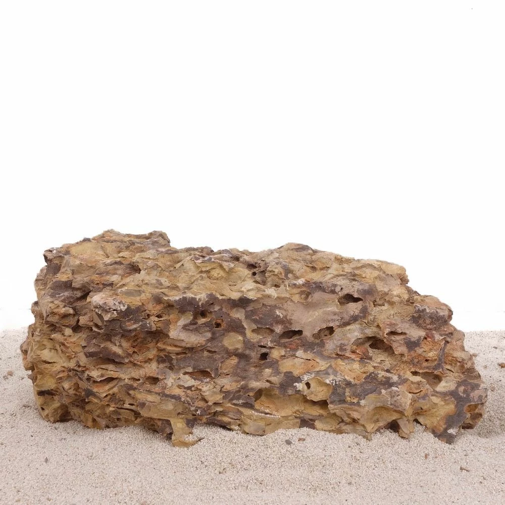 Aquarium Drachenstein Dekosteine Art.66 Größe XXXL 40-50 Cm Nr.1600 1 Aquarium Drachenstein Dekosteine Art.66 Größe XXXL 40-50 Cm Nr.1600