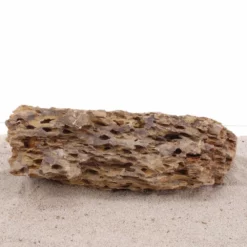 Aquarium Drachenstein Dekosteine Art.66 Größe XXXL 40-50 Cm Nr.1600 6 Aquarium Drachenstein Dekosteine Art.66 Größe XXXL 40-50 Cm Nr.1600 -Haus Dekoration Verkaufsgeschäft Aquarium Drachenstein Dekosteine Art 66 Groesse XXXL 40 50 cm Nr 1599 1600 3 24154