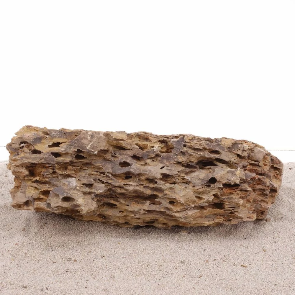 Aquarium Drachenstein Dekosteine Art.66 Größe XXXL 40-50 Cm Nr.1600 3 Aquarium Drachenstein Dekosteine Art.66 Größe XXXL 40-50 Cm Nr.1600 – Bild 3