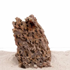 Aquarium Drachenstein Dekosteine Art.66 Größe XXXL 40-50 Cm Nr.1602 -Haus Dekoration Verkaufsgeschäft Aquarium Drachenstein Dekosteine Art 66 Groesse XXXL 40 50 cm Nr 1601 1602 2 24156