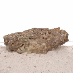 Aquarium Drachenstein Dekosteine Art.66 Größe XXXL 40-50 Cm Nr.1614 -Haus Dekoration Verkaufsgeschäft Aquarium Drachenstein Dekosteine Art 66 Groesse XXXL 40 50 cm Nr 1613 1614 4 24168