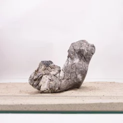 Aquarium Natursteine Mini Landschaft Seiryu Steine Grau Gr.XXXL 35-50cm Nr.5795 -Haus Dekoration Verkaufsgeschäft Aquarium Natursteine Mini Landschaft Seiryu Steine grau Gr XXXL 35 50cm Nr 5794 5795 2 29184