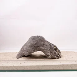 Aquarium Natursteine Mini Landschaft Seiryu Steine Grau Gr.XXXL 35-50cm Nr.5795 -Haus Dekoration Verkaufsgeschäft Aquarium Natursteine Mini Landschaft Seiryu Steine grau Gr XXXL 35 50cm Nr 5794 5795 4 29184