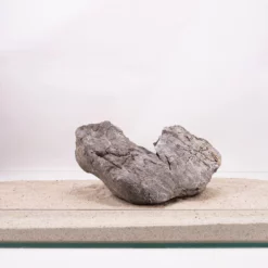 Aquarium Natursteine Mini Landschaft Seiryu Steine Grau Gr.XXXL 35-50cm Nr.5795 -Haus Dekoration Verkaufsgeschäft Aquarium Natursteine Mini Landschaft Seiryu Steine grau Gr XXXL 35 50cm Nr 5794 5795 5 29184