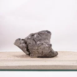 Aquarium Natursteine Mini Landschaft Seiryu Steine Grau Gr.XXXL 35-50cm Nr.5796 -Haus Dekoration Verkaufsgeschäft Aquarium Natursteine Mini Landschaft Seiryu Steine grau Gr XXXL 35 50cm Nr 5795 5796 4 29185