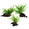 Aquarium Pflanze Auf Wurzel Tropica Nr.008 008A 008G YWS Set Mix