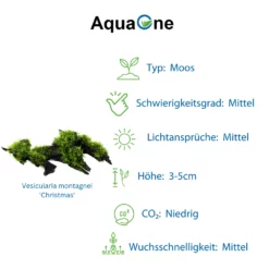 Aquarium Pflanze Auf Wurzel Tropica Nr.101 YWS 003A YWS Set Mix -Haus Dekoration Verkaufsgeschäft Aquarium Pflanze auf Wurzel Tropica Nr 101 YWS 003A YWS Set Mix 101 003A 4 30754