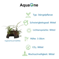 Aquarium Pflanze Auf Wurzel Tropica Nr.509 YCS 510 YCS Set Mix -Haus Dekoration Verkaufsgeschäft Aquarium Pflanze auf Wurzel Tropica Nr 509 YCS 510 YCS Set Mix 509 510 4 30761