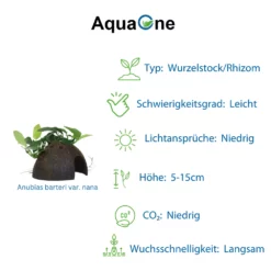 Aquarium Pflanze Auf Wurzel Tropica Nr.509 YCS 510 YCS Set Mix -Haus Dekoration Verkaufsgeschäft Aquarium Pflanze auf Wurzel Tropica Nr 509 YCS 510 YCS Set Mix 509 510 6 30761