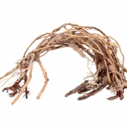 Aquarium Wurzel Bonsai Exclusiv Größe L 40x30cm Nr.78 Holz Deko Aquascaping -Haus Dekoration Verkaufsgeschäft Aquarium Wurzel Bonsai Exclusive Groesse L 40x30cm Nr 78 Holz Deko Aquascaping DSC03197 23099