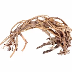 Aquarium Wurzel Bonsai Exclusiv Größe L 40x30cm Nr.78 Holz Deko Aquascaping -Haus Dekoration Verkaufsgeschäft Aquarium Wurzel Bonsai Exclusive Groesse L 40x30cm Nr 78 Holz Deko Aquascaping DSC03200 23099