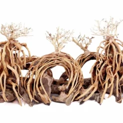 Aquarium Wurzel Bonsai Exclusiv Größe L 60x30cm Nr.108 Holz Deko Aquascaping 7 Aquarium Wurzel Bonsai Exclusiv Größe L 60x30cm Nr.108 Holz Deko Aquascaping -Haus Dekoration Verkaufsgeschäft Aquarium Wurzel Bonsai Exclusive Groesse L 60x30cm Nr 108 Holz Deko Aquascaping DSC03304 23100