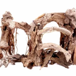 Aquarium Wurzel Bonsai Exclusiv Größe L 60x40cm Nr.31 Holz Deko Aquascaping 9 Aquarium Wurzel Bonsai Exclusiv Größe L 60x40cm Nr.31 Holz Deko Aquascaping -Haus Dekoration Verkaufsgeschäft Aquarium Wurzel Bonsai Exclusive Groesse L 60x40cm Nr 31 Holz Deko Aquascaping DSC03177 23105