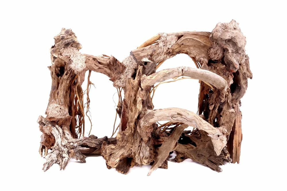 Aquarium Wurzel Bonsai Exclusiv Größe L 60x40cm Nr.31 Holz Deko Aquascaping 5 Aquarium Wurzel Bonsai Exclusiv Größe L 60x40cm Nr.31 Holz Deko Aquascaping – Bild 5