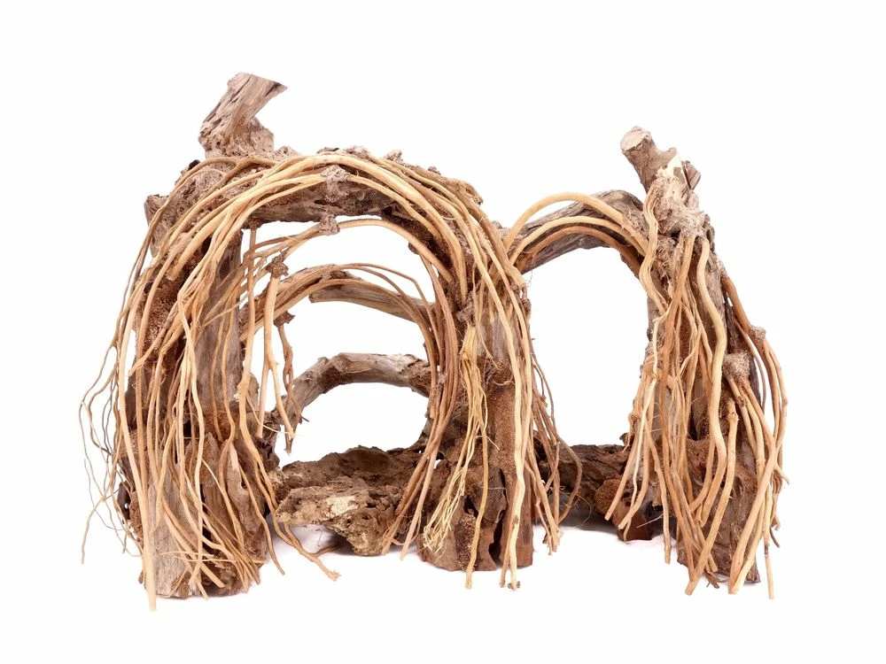 Aquarium Wurzel Bonsai Exclusiv Größe L 60x40cm Nr.31 Holz Deko Aquascaping 3 Aquarium Wurzel Bonsai Exclusiv Größe L 60x40cm Nr.31 Holz Deko Aquascaping – Bild 3