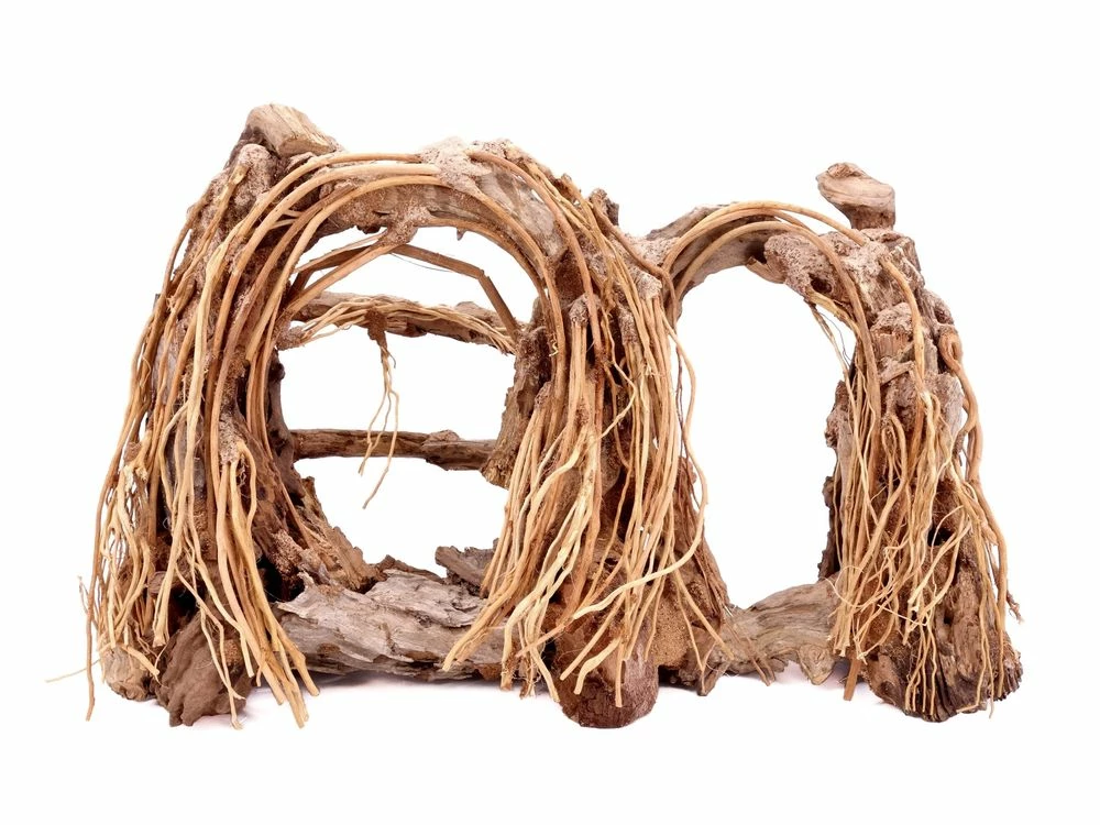 Aquarium Wurzel Bonsai Exclusiv Größe L 60x40cm Nr.31 Holz Deko Aquascaping 2 Aquarium Wurzel Bonsai Exclusiv Größe L 60x40cm Nr.31 Holz Deko Aquascaping – Bild 2